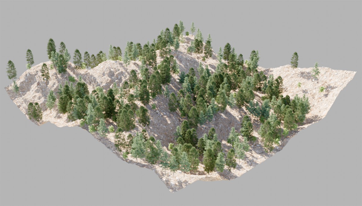 Rendering of a 3D landscape with scattered trees, distributed by the Scatter Generator in Cinema 4D.