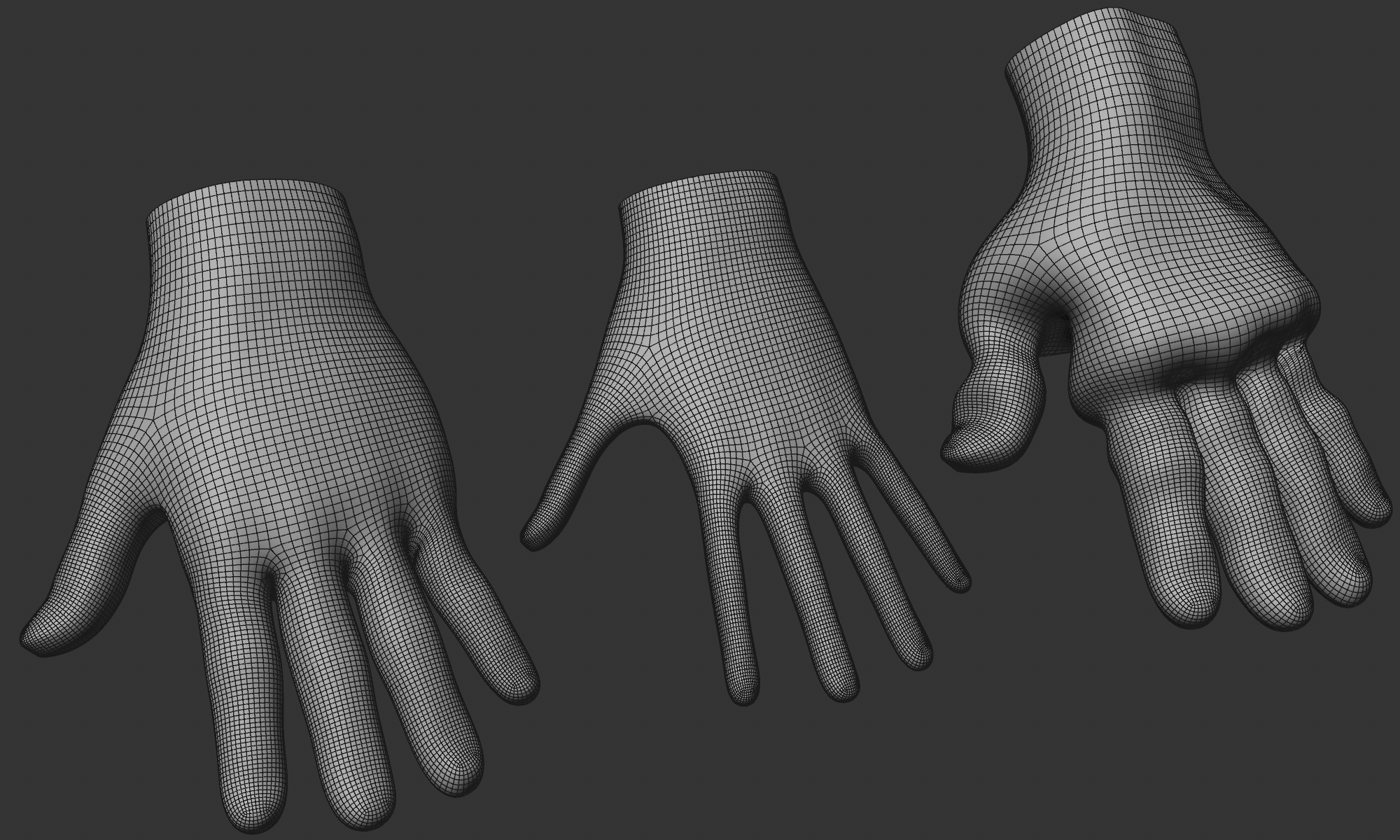 A human hand is processed using the Fabric Brush with different target lengths. The hand contracts or expands while forming wrinkles.