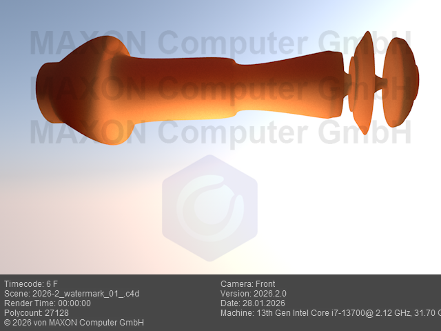 The watermark can embed a variety of information into the rendered image.