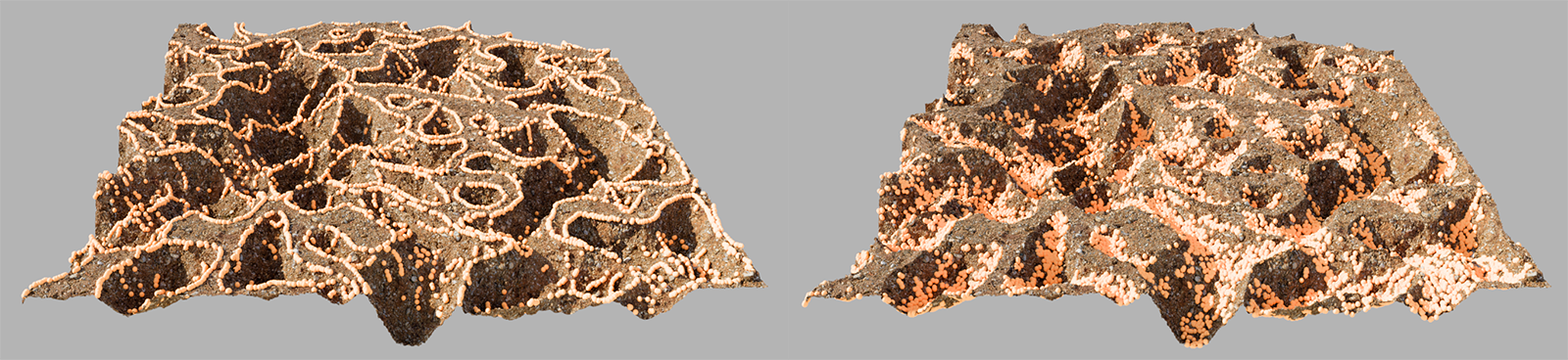 Examples about placing scattered instances only on the convex or only on the concave parts of a landscape object.