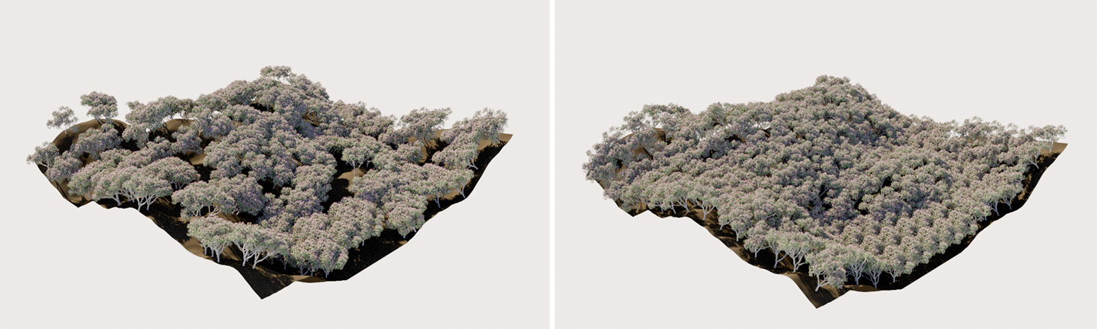 Renderings of a landscape with scattered trees. On the left side the mode Area Weighted was used, on the right a simple Grid based scattering is shown.