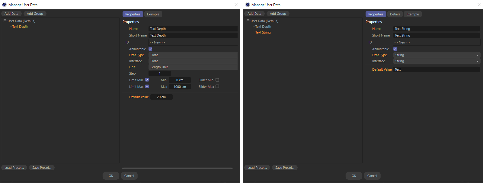 Using the user data management window, we create two user data that will later be used to set the depth and the text.