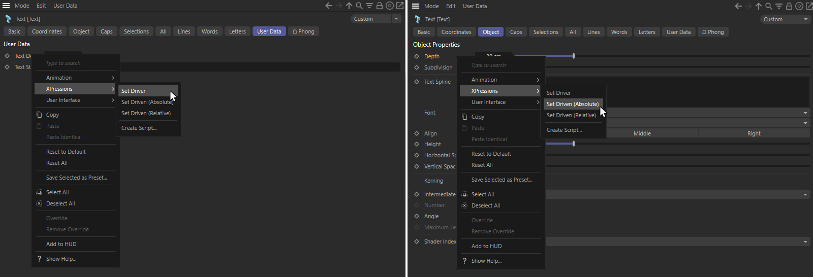 By using the Set Driver/Set Driven commands, a link is established between user data value and parameter on the object.
