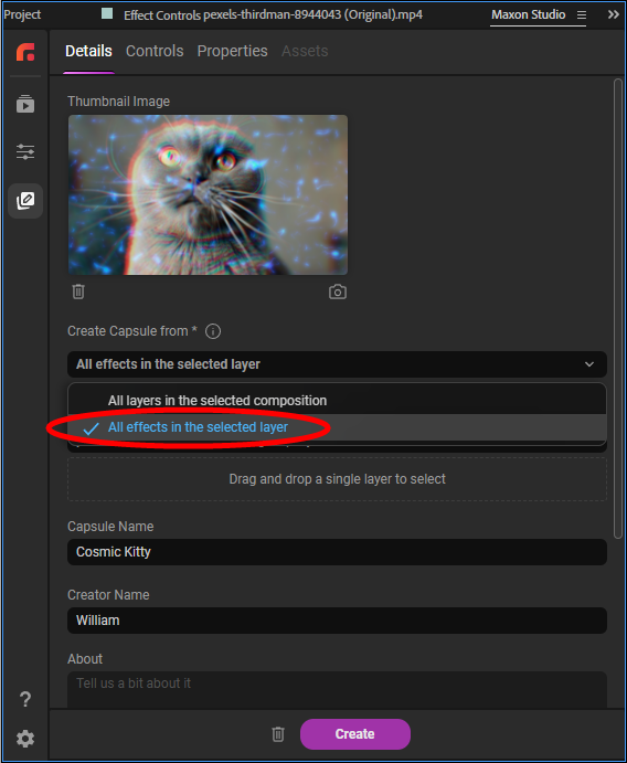 The Create Capsule from dropdown with 'All effects in the selected layer' selected, required for building an effects capsule.