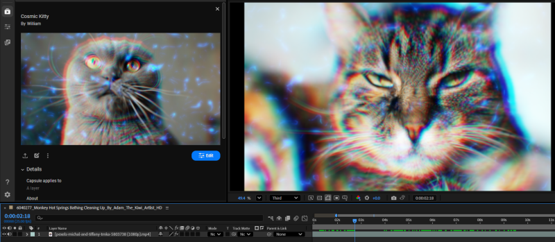 A new After Effects project with a different cat clip, with the saved effects capsule applied to reproduce the same look in one click.