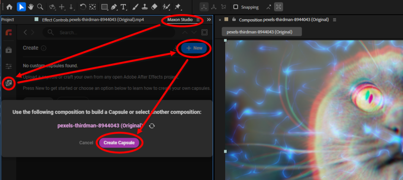 The Create Page after clicking New and Create Capsule on the cat-with-effects project, ready to configure a new effects capsule.