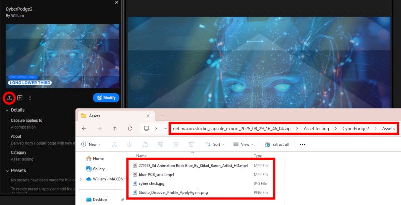 A file explorer window showing a capsule's exported folder structure with its assets bundled alongside the capsule data.