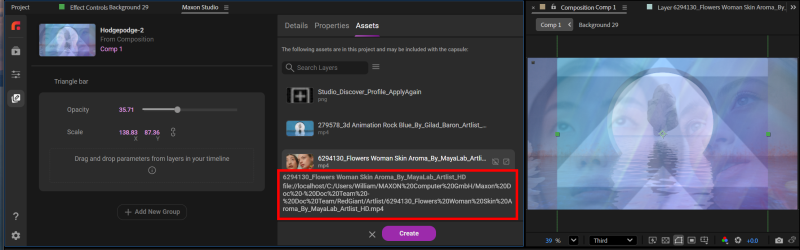 A hover tooltip over an asset name in the Assets panel, showing its full filename and storage path.