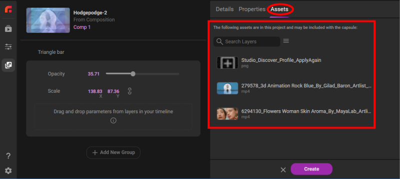 The Assets panel in the Create Page showing a list of project assets associated with the capsule-in-progress.