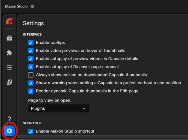 Studio's Settings page with Interface, Shortcut, and Media and Disk Cache sections visible.