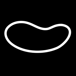 kidney