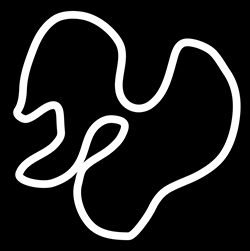 squiggleline04