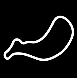 squiggleline05