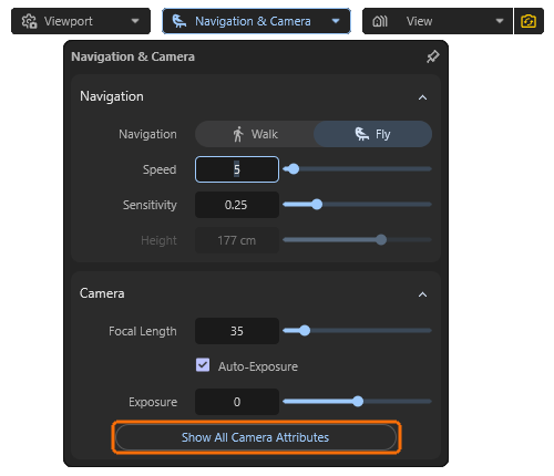 The Navigation & Camera settings also offer a button to open the advanced camera options and settings.