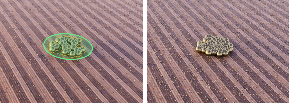 The density and number of assets generated with each mouse click can also be adjusted retrospectively using the ‘Coverage’ setting.