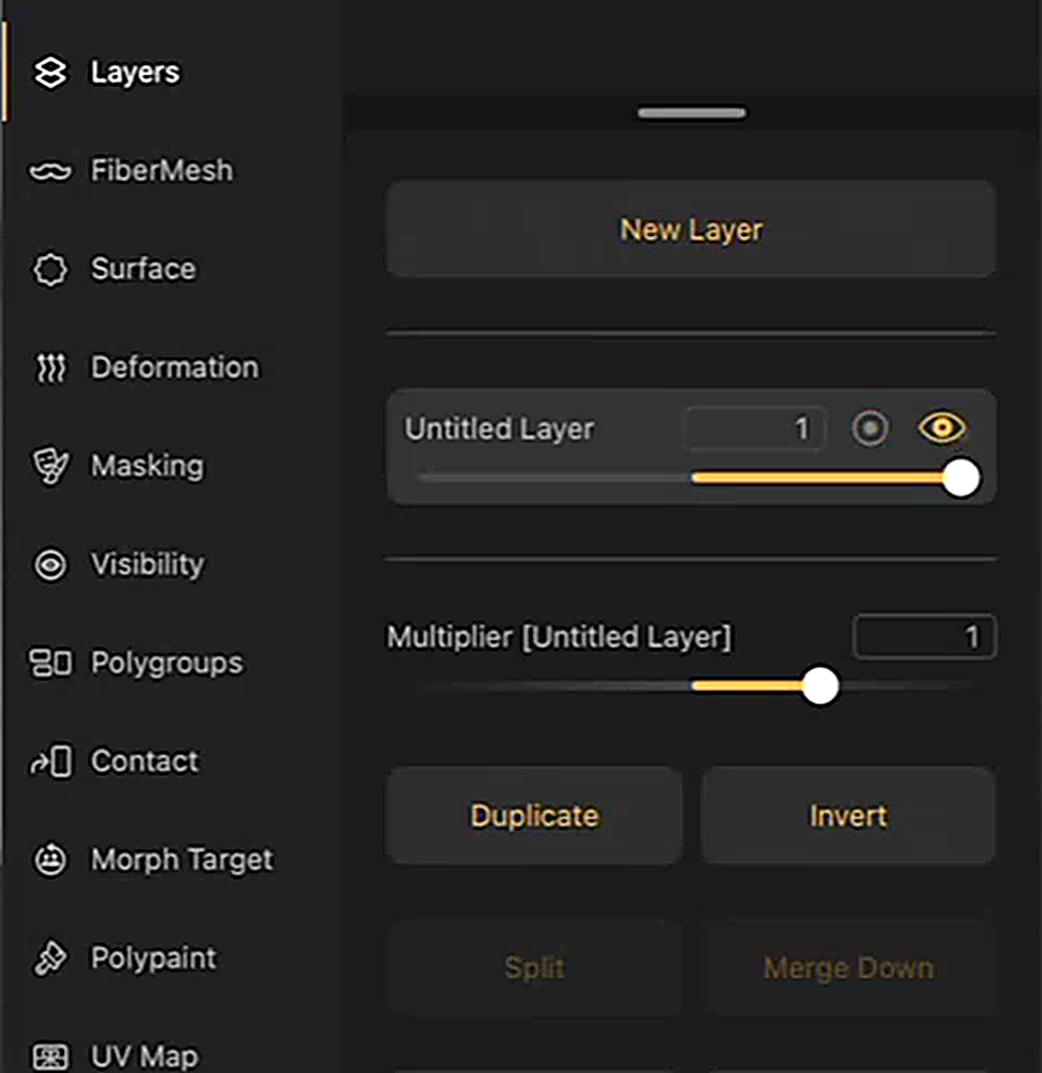 The Layers panel in the Tool palette, with one layer