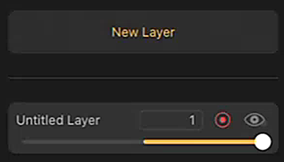 A new layer in Record mode, with its Record button red