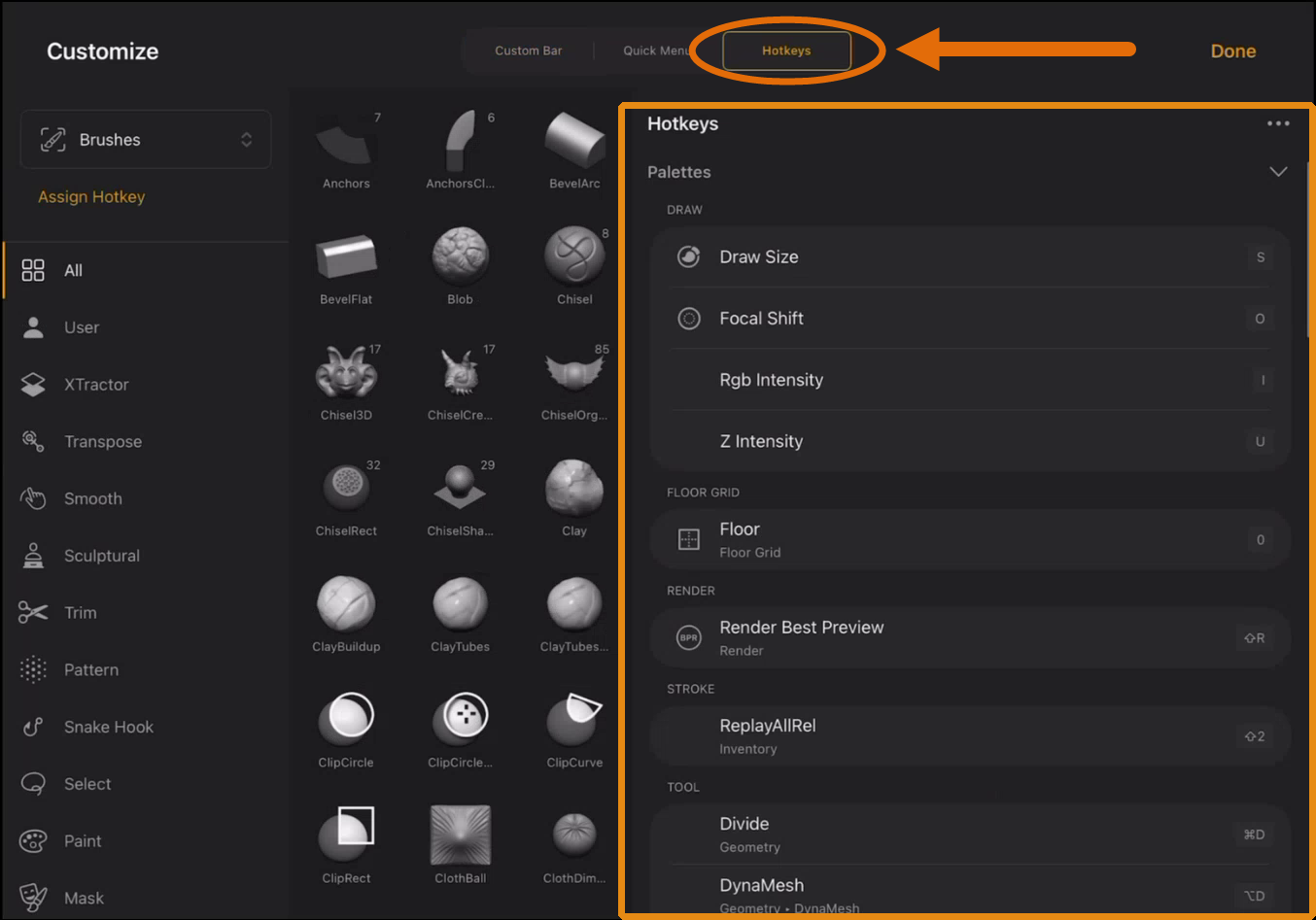 The Hotkeys tab in the Customize menu, showing the Palettes section expanded with assigned keyboard shortcuts for Draw Size, Focal Shift, Rgb Intensity, Z Intensity, Floor, Render Best Preview, ReplayAllRel, Divide, and DynaMesh.