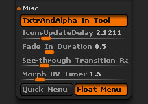 Interface > Misc section