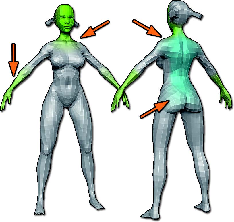 The smoothed density, shown by the arrows.