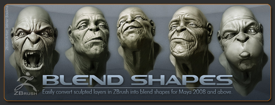 Blend Shapes Export plugin