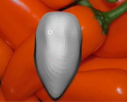 A simple chilli model