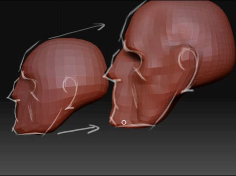Learntosculpt4