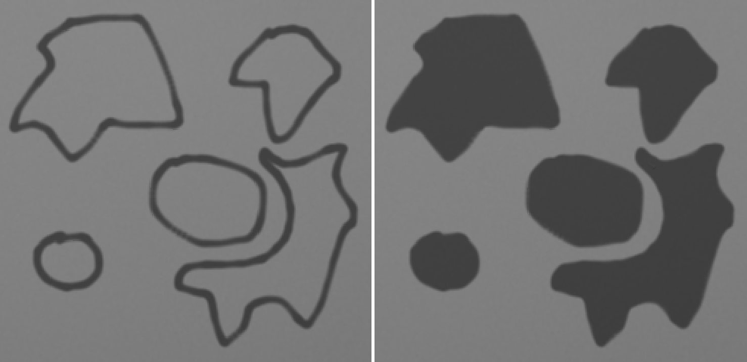 Mask-Region-00