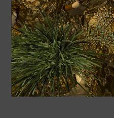 PM_Bamboo_files_image148