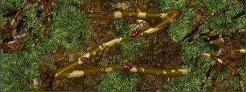 PM_Bamboo_files_image232