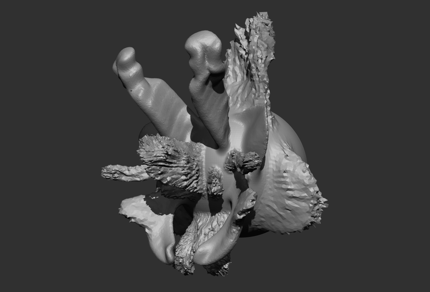 Snake Curve