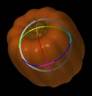 Transform_Palette_image025