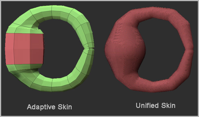 Adaptive and Unified Skinning